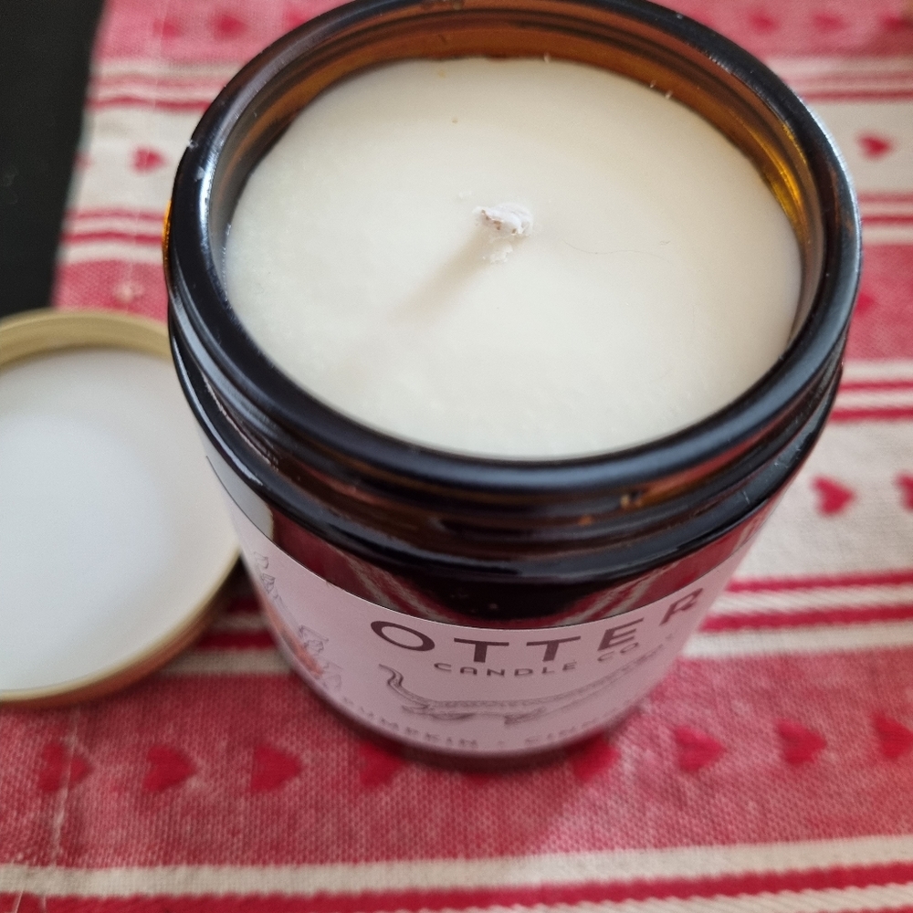 Otter Candle co Pumpkin and cinnamon jar candle - Picture 2 of 3